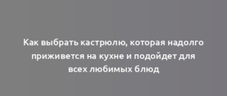 Как выбрать кастрюлю, которая надолго приживется на кухне и подойдет для всех любимых блюд