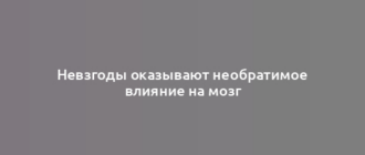 Невзгоды оказывают необратимое влияние на мозг