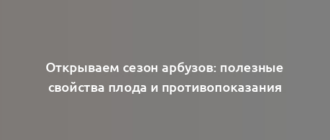 Открываем сезон арбузов: полезные свойства плода и противопоказания