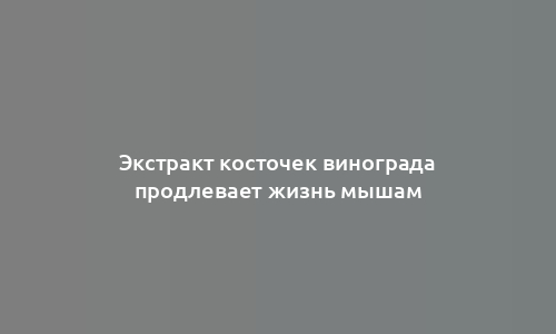 Экстракт косточек винограда продлевает жизнь мышам